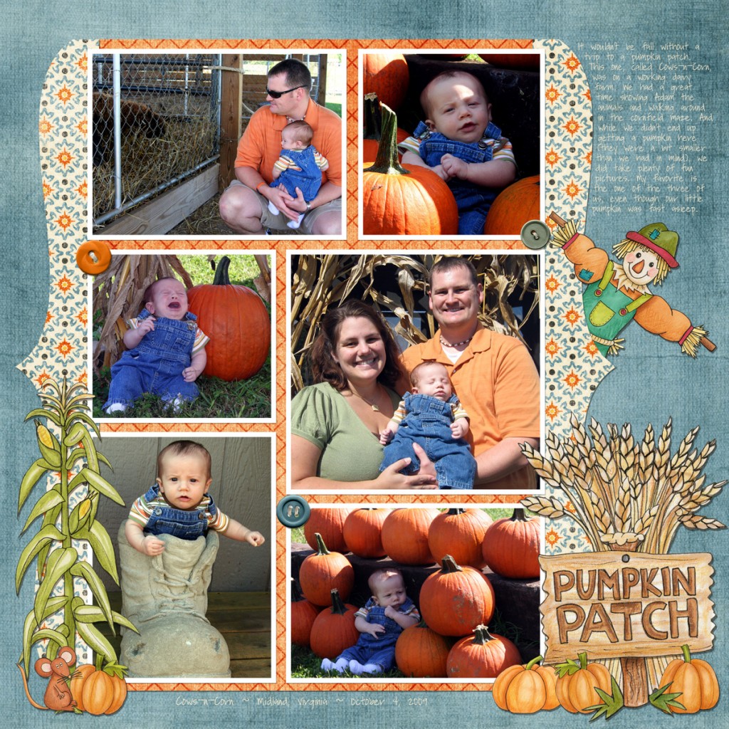 Pumpkin Patch