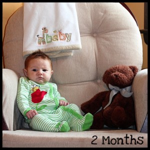 3 Months